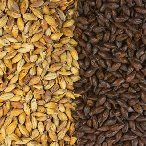 brewing malt suppliers uk